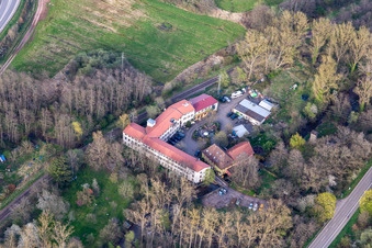 Vue aérienne de WOOD & SUN Combustion de biomasse et technologie solaire GmbH à le quartier Queichhambach in Annweiler am Trifels dans le département Rhénanie-Palatinat, Allemagne
