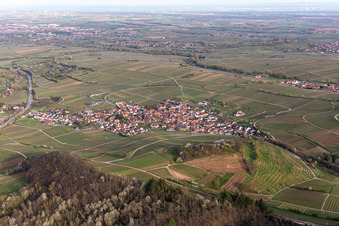 Birkweiler dans le département Rhénanie-Palatinat, Allemagne vue d'en haut