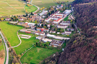 Vue aérienne de Pfalzklinik Landeck de Norden à Klingenmünster dans le département Rhénanie-Palatinat, Allemagne