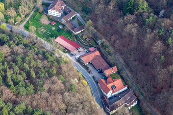 Vue aérienne de Domaine viticole Porzelt à Klingenmünster dans le département Rhénanie-Palatinat, Allemagne