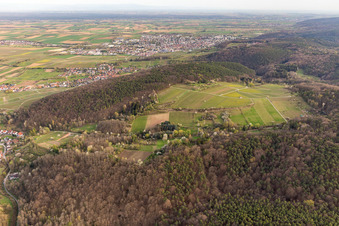 Vue oblique de Haardtrand-Wolfsteig à Pleisweiler-Oberhofen dans le département Rhénanie-Palatinat, Allemagne