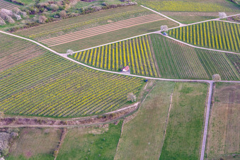 Haardtrand-Wolfsteig à Pleisweiler-Oberhofen dans le département Rhénanie-Palatinat, Allemagne d'en haut