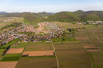 Vue aérienne de Vue de la ville depuis l'est à Klingenmünster dans le département Rhénanie-Palatinat, Allemagne