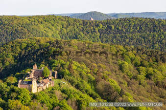 Madenburg à Eschbach dans le département Rhénanie-Palatinat, Allemagne du point de vue du drone