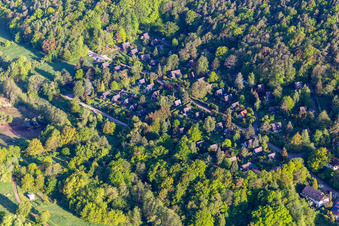 Vue aérienne de Village de vacances Sonnenberg à Leinsweiler dans le département Rhénanie-Palatinat, Allemagne