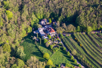 Vue aérienne de Maison d'hôtes Sankt Annagut à Burrweiler dans le département Rhénanie-Palatinat, Allemagne