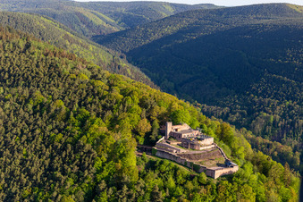 Vue aérienne de Ruines du château de Rietburg Rietburg à Rhodt unter Rietburg dans le département Rhénanie-Palatinat, Allemagne
