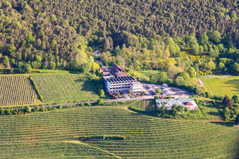 Vue aérienne de Hôtel Haus am Weinberg à le quartier SaintMartin in Sankt Martin dans le département Rhénanie-Palatinat, Allemagne