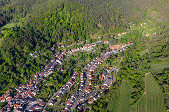 Vue aérienne de Einlaubstraße à le quartier SaintMartin in Sankt Martin dans le département Rhénanie-Palatinat, Allemagne