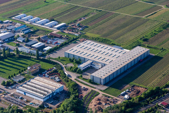 Vue aérienne de ArcelorMittal SSC Deutschland GmbH à Edenkoben dans le département Rhénanie-Palatinat, Allemagne