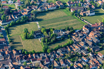 Hôtel Schloß Edesheim, Hôtels privés Dr. Lohbeck GmbH & Co. KG à Edesheim dans le département Rhénanie-Palatinat, Allemagne d'en haut