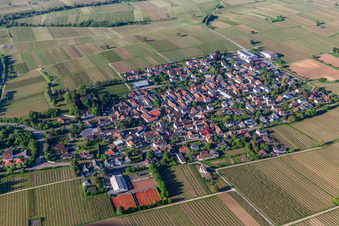 Photographie aérienne de Walsheim dans le département Rhénanie-Palatinat, Allemagne