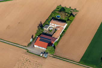 Vue oblique de Domaine viticole Bioland Neuspergerhof à Rohrbach dans le département Rhénanie-Palatinat, Allemagne