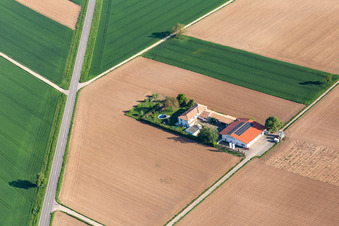 Domaine viticole Bioland Neuspergerhof à Rohrbach dans le département Rhénanie-Palatinat, Allemagne d'en haut