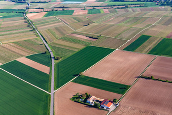 Domaine viticole Bioland Neuspergerhof à Rohrbach dans le département Rhénanie-Palatinat, Allemagne hors des airs