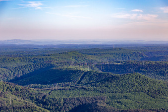 Vue aérienne de Tour Luitpold de l'Hermersbergerhof à Wilgartswiesen dans le département Rhénanie-Palatinat, Allemagne