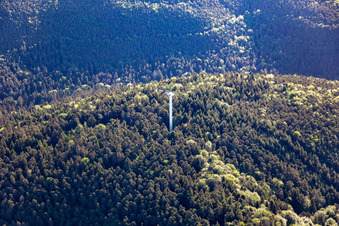 Vue aérienne de Tour de transmission à le quartier Blankenborn in Bad Bergzabern dans le département Rhénanie-Palatinat, Allemagne