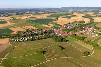 Vue aérienne de Vue du village depuis le nord-est à Dierbach dans le département Rhénanie-Palatinat, Allemagne