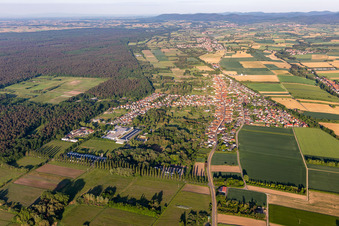 Enregistrement par drone de Quartier Schaidt in Wörth am Rhein dans le département Rhénanie-Palatinat, Allemagne
