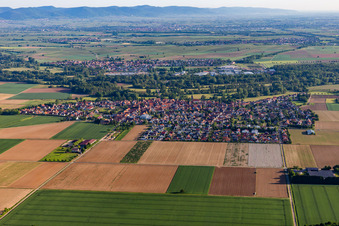 Photographie aérienne de Vue du village depuis le sud à Steinweiler dans le département Rhénanie-Palatinat, Allemagne
