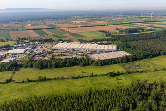 Vue aérienne de MAGNA Exteriors GmbH - MLC Kandel dans le parc industriel de Horst en Minderslachen à le quartier Minderslachen in Kandel dans le département Rhénanie-Palatinat, Allemagne