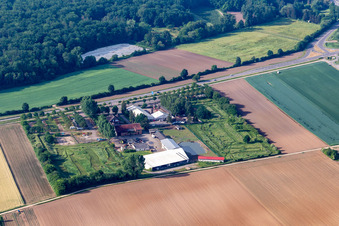 Vue aérienne de Parc de football et de golf du Palatinat du Sud à Adamshof à Kandel dans le département Rhénanie-Palatinat, Allemagne