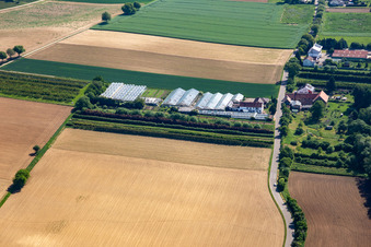 Photographie aérienne de Dieter Schmeißer Coupe Verte à Vollmersweiler dans le département Rhénanie-Palatinat, Allemagne