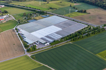 Vue aérienne de Village des jardiniers de Reichenau en Beuren an der Aach à le quartier Beuren an der Aach in Singen dans le département Bade-Wurtemberg, Allemagne