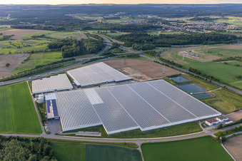 Village des jardiniers de Reichenau en Beuren an der Aach à le quartier Beuren an der Aach in Singen dans le département Bade-Wurtemberg, Allemagne d'en haut