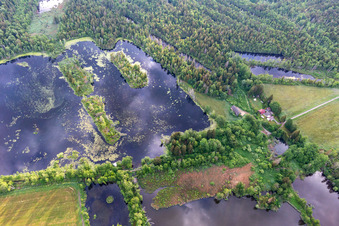 Photographie aérienne de Moorseen Pfrungener-Burgweiler Ried à le quartier Pfrungen in Wilhelmsdorf dans le département Bade-Wurtemberg, Allemagne