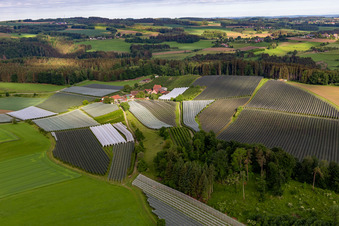 Vue aérienne de Quartier Altheim in Frickingen dans le département Bade-Wurtemberg, Allemagne