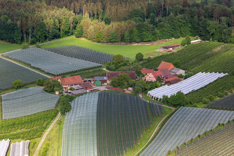 Photographie aérienne de Quartier Altheim in Frickingen dans le département Bade-Wurtemberg, Allemagne