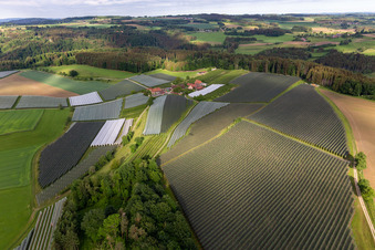 Vue oblique de Quartier Altheim in Frickingen dans le département Bade-Wurtemberg, Allemagne