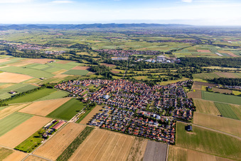 Vue d'oiseau de Vue de la ville depuis le sud à Steinweiler dans le département Rhénanie-Palatinat, Allemagne