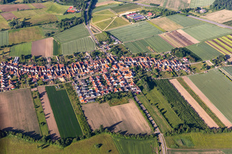 Vue aérienne de Vue du nord à Erlenbach bei Kandel dans le département Rhénanie-Palatinat, Allemagne