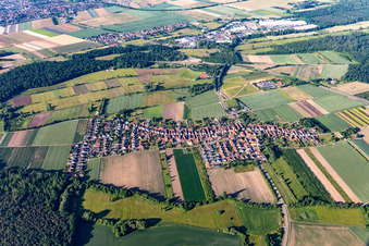 Vue aérienne de Vue du nord à Erlenbach bei Kandel dans le département Rhénanie-Palatinat, Allemagne