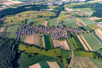 Photographie aérienne de Vue du nord à Erlenbach bei Kandel dans le département Rhénanie-Palatinat, Allemagne
