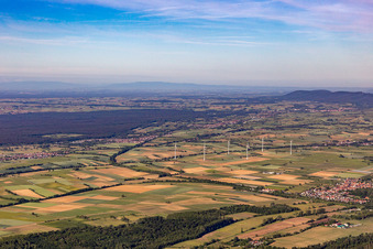 Vue aérienne de Panorama du Palatinat du Sud Viestrich et Bienwald à Freckenfeld dans le département Rhénanie-Palatinat, Allemagne