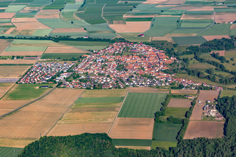 Photographie aérienne de Steinweiler dans le département Rhénanie-Palatinat, Allemagne