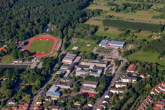 Vue aérienne de Nouveau bâtiment de l'IGS à Kandel dans le département Rhénanie-Palatinat, Allemagne