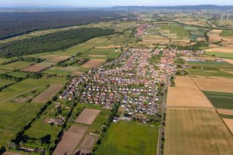 Vue aérienne de Vue d'ensemble de la ville depuis l'est à Minfeld dans le département Rhénanie-Palatinat, Allemagne