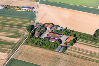 Vue aérienne de Marché du village de Schoßberghof à Minfeld dans le département Rhénanie-Palatinat, Allemagne