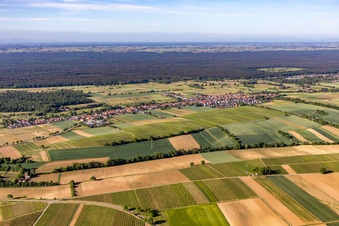 Image drone de Freckenfeld dans le département Rhénanie-Palatinat, Allemagne