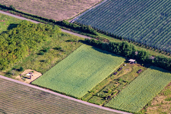 Vue aérienne de Idylle à le quartier Mühlhofen in Billigheim-Ingenheim dans le département Rhénanie-Palatinat, Allemagne