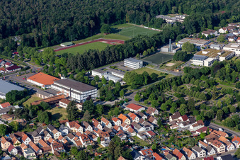 Vue aérienne de SV Rülzheim 1920 eV à Rülzheim dans le département Rhénanie-Palatinat, Allemagne