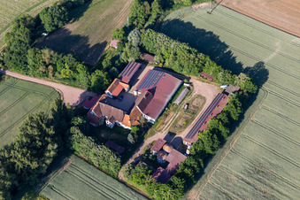 Vue aérienne de Leistenmühle à Erlenbach bei Kandel dans le département Rhénanie-Palatinat, Allemagne
