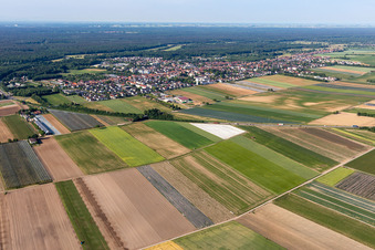 Vue aérienne de Vue de la ville de Bienwald depuis le nord-est à Kandel dans le département Rhénanie-Palatinat, Allemagne