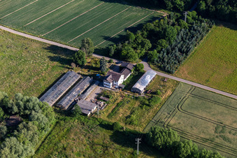 Vue aérienne de Crèche Erlenhof à Erlenbach bei Kandel dans le département Rhénanie-Palatinat, Allemagne