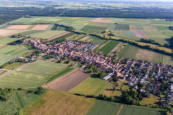 Vue aérienne de Vue du village depuis le sud-est à Erlenbach bei Kandel dans le département Rhénanie-Palatinat, Allemagne