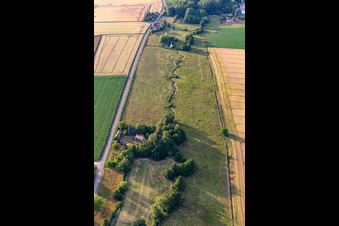 Vue aérienne de La tortue à Saint-Michel-de-Chavaignes dans le département Sarthe, France